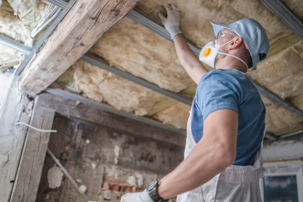 Best DIY Insulation Kits and Guidance in St Francisville, LA